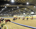 Centro Ippico Le Ginestre - Concorso partita di Horseball